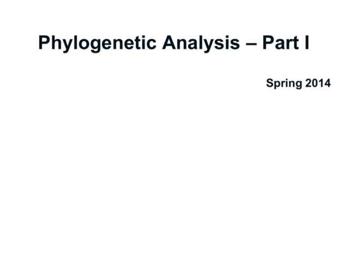 Analyzing phylogenetic trees answer key