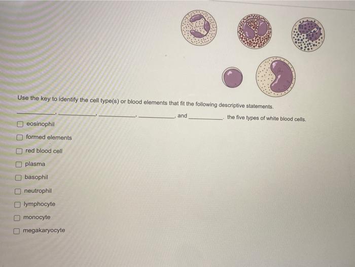 Human blood cell typing pogil answers