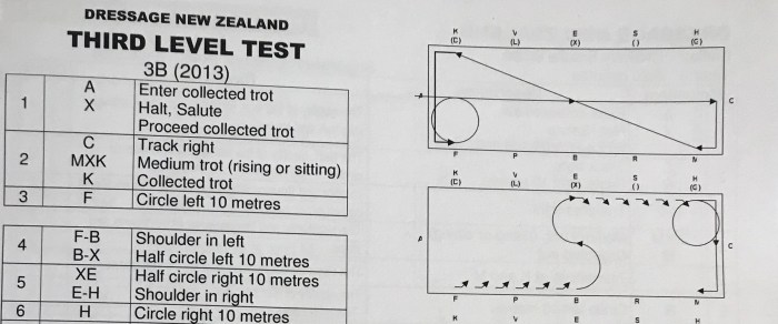 Dressage training level test 2