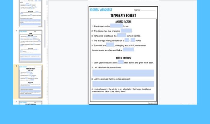 Photosynthesis webquest answer key pdf