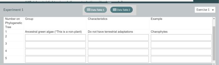 Analyzing phylogenetic trees answer key