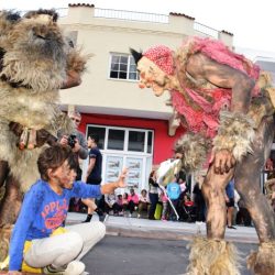 La grosura de los carneros