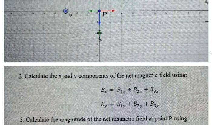 Find the magnitude of magnetic field bnet