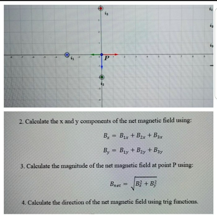 Find the magnitude of magnetic field bnet