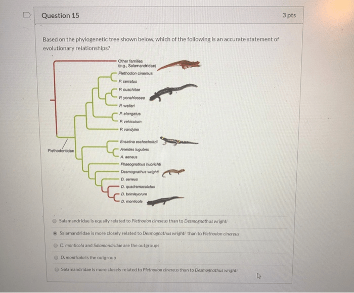 Analyzing phylogenetic trees answer key