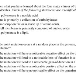 Elements & macromolecules in organisms answers