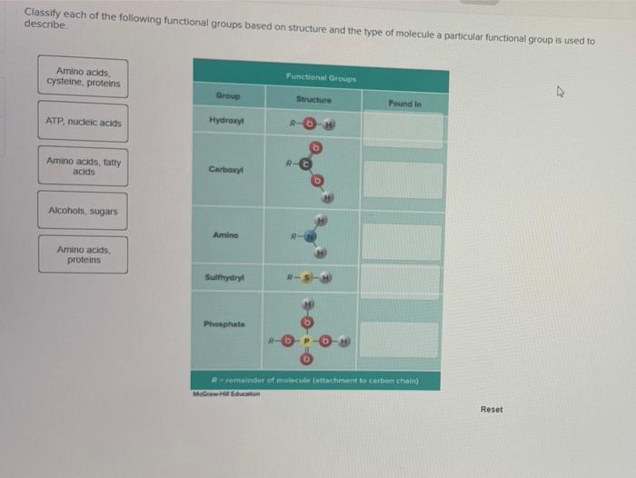 Classify structure according each its functional class transcribed text show