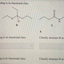 Molecules classify