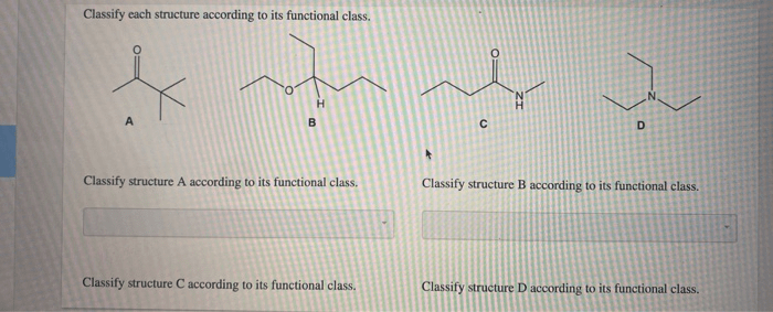 Molecules classify